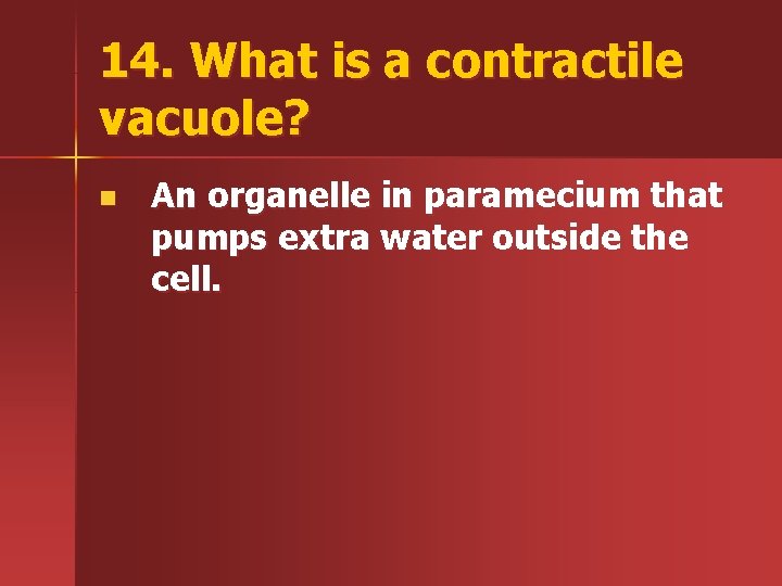 14. What is a contractile vacuole? n An organelle in paramecium that pumps extra