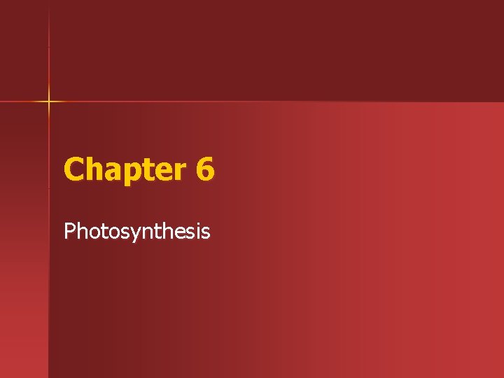 Chapter 6 Photosynthesis 