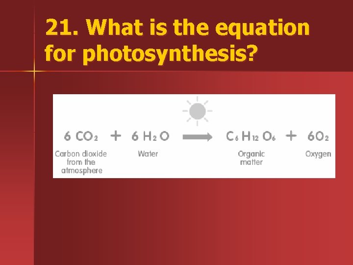 21. What is the equation for photosynthesis? 