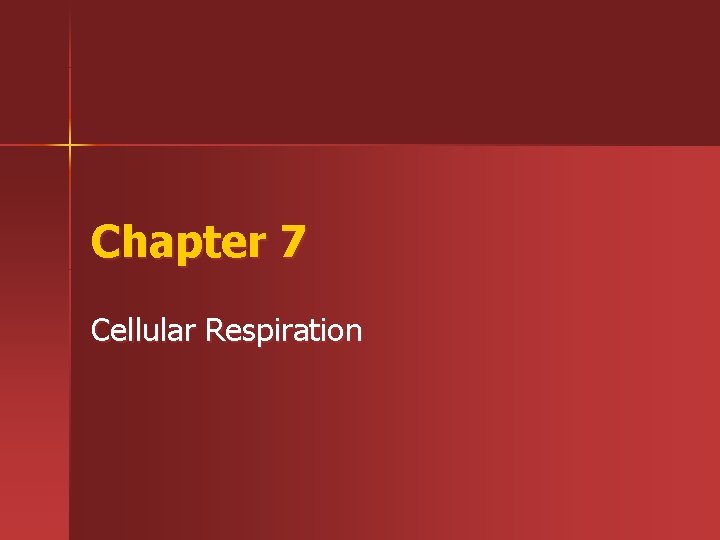Chapter 7 Cellular Respiration 