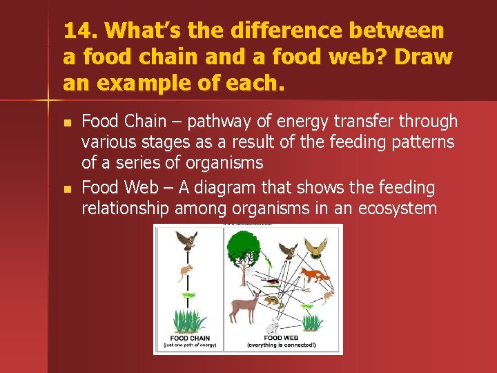 14. What’s the difference between a food chain and a food web? Draw an