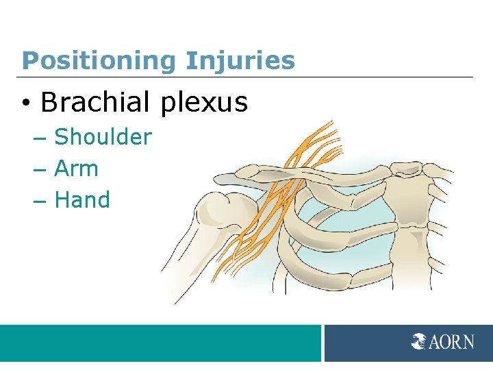 Positioning Injuries • Brachial plexus – Shoulder – Arm – Hand 
