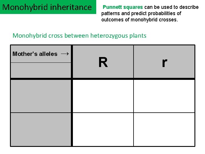 Monohybrid inheritance Punnett squares can be used to describe patterns and predict probabilities of
