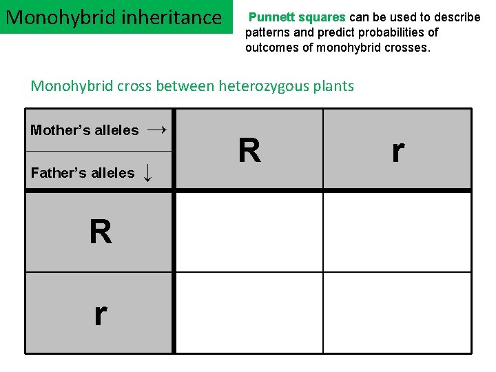 Monohybrid inheritance Punnett squares can be used to describe patterns and predict probabilities of