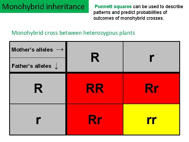 Monohybrid inheritance Punnett squares can be used to describe patterns and predict probabilities of