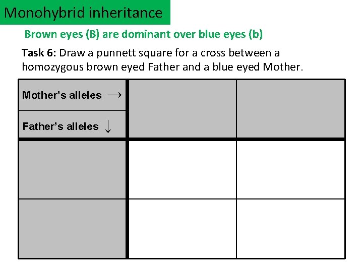 Monohybrid inheritance Brown eyes (B) are dominant over blue eyes (b) Task 6: Draw