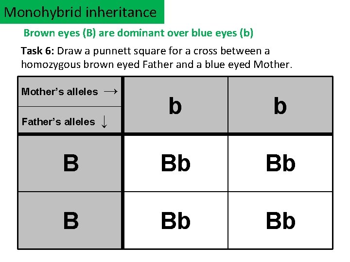 Monohybrid inheritance Brown eyes (B) are dominant over blue eyes (b) Task 6: Draw