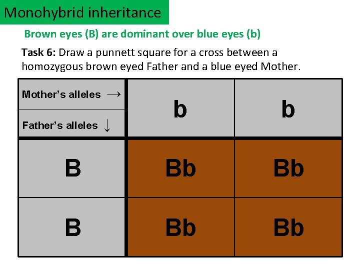 Monohybrid inheritance Brown eyes (B) are dominant over blue eyes (b) Task 6: Draw