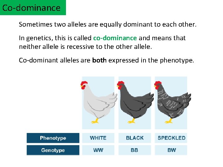 Co-dominance Sometimes two alleles are equally dominant to each other. In genetics, this is