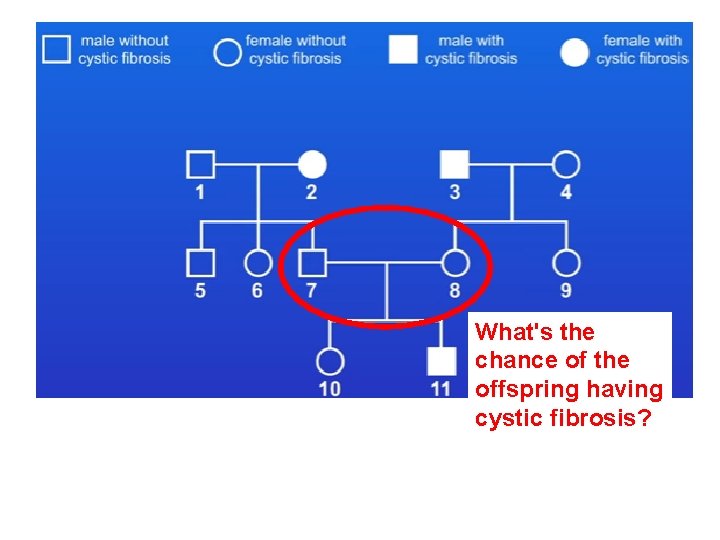 What's the chance of the offspring having cystic fibrosis? 