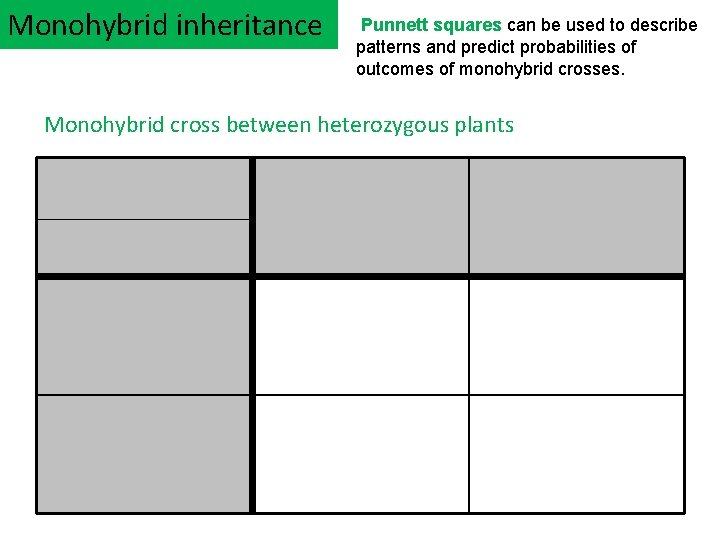 Monohybrid inheritance Punnett squares can be used to describe patterns and predict probabilities of