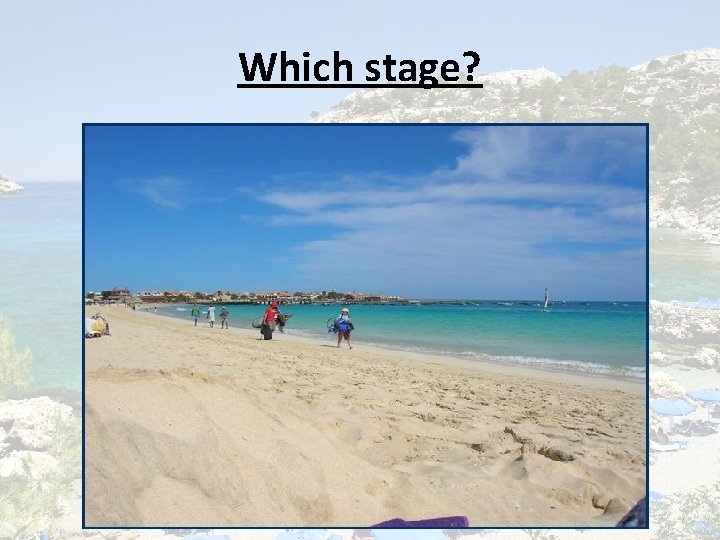 Which stage? 