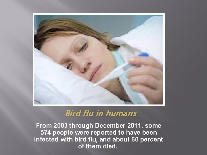 Bird flu in humans From 2003 through December 2011, some 574 people were reported