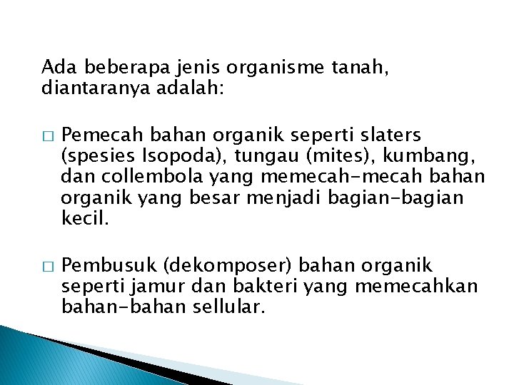 Ada beberapa jenis organisme tanah, diantaranya adalah: � � Pemecah bahan organik seperti slaters