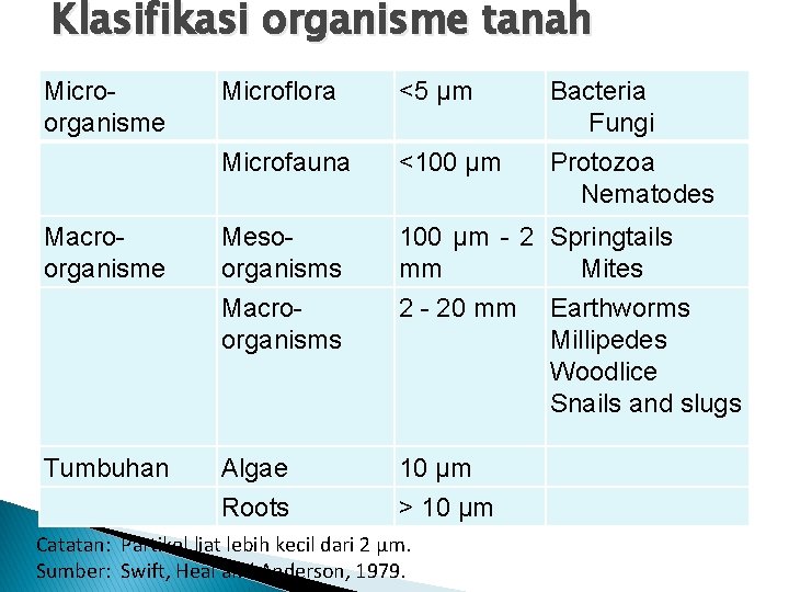 Klasifikasi organisme tanah Microorganisme Macroorganisme Tumbuhan Microflora <5 µm Bacteria Fungi Microfauna <100 µm