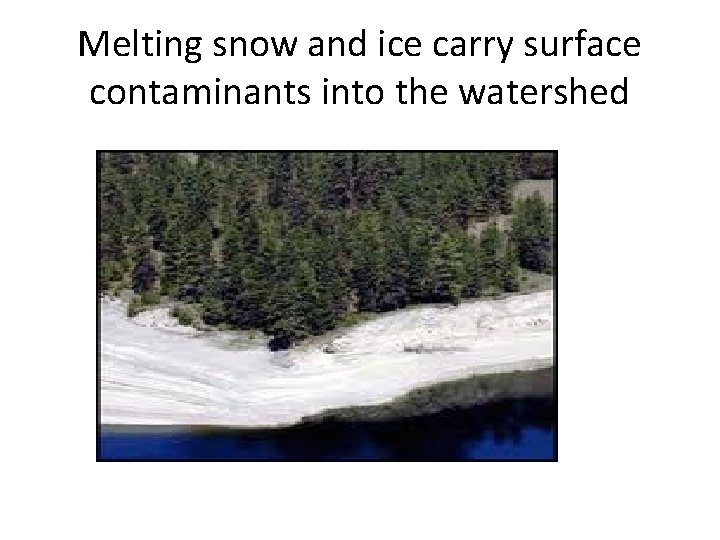 Melting snow and ice carry surface contaminants into the watershed 