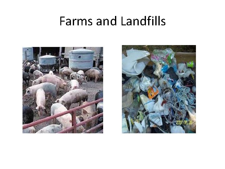 Farms and Landfills 
