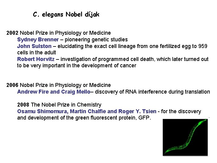 C. elegans Nobel díjak 2002 Nobel Prize in Physiology or Medicine Sydney Brenner –