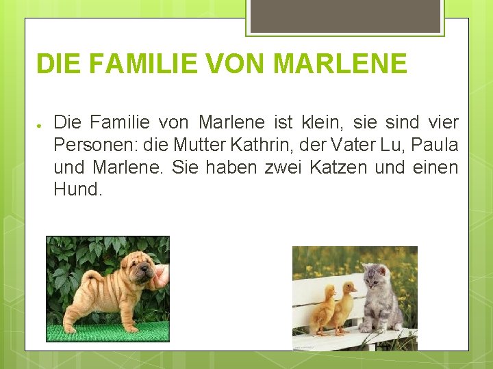DIE FAMILIE VON MARLENE ● Die Familie von Marlene ist klein, sie sind vier