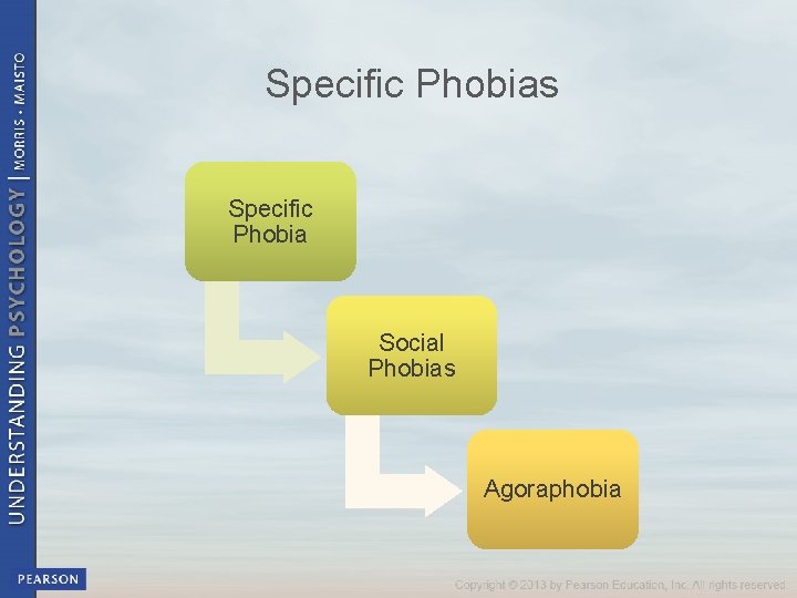 Specific Phobias Specific Phobia Social Phobias Agoraphobia 