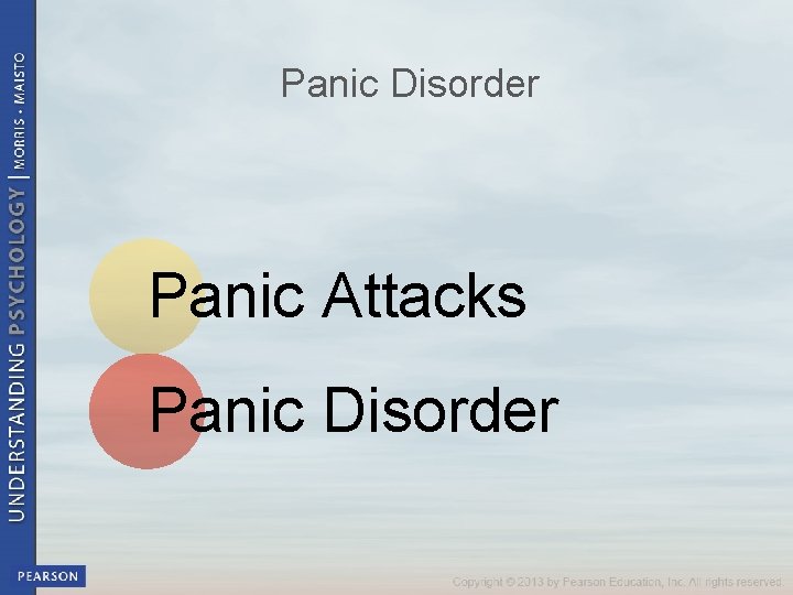 Panic Disorder Panic Attacks Panic Disorder 