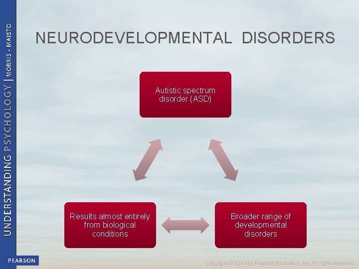 NEURODEVELOPMENTAL DISORDERS Autistic spectrum disorder (ASD) Results almost entirely from biological conditions Broader range