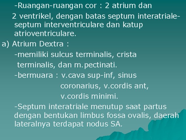 -Ruangan-ruangan cor : 2 atrium dan 2 ventrikel, dengan batas septum interatrialeseptum interventriculare dan