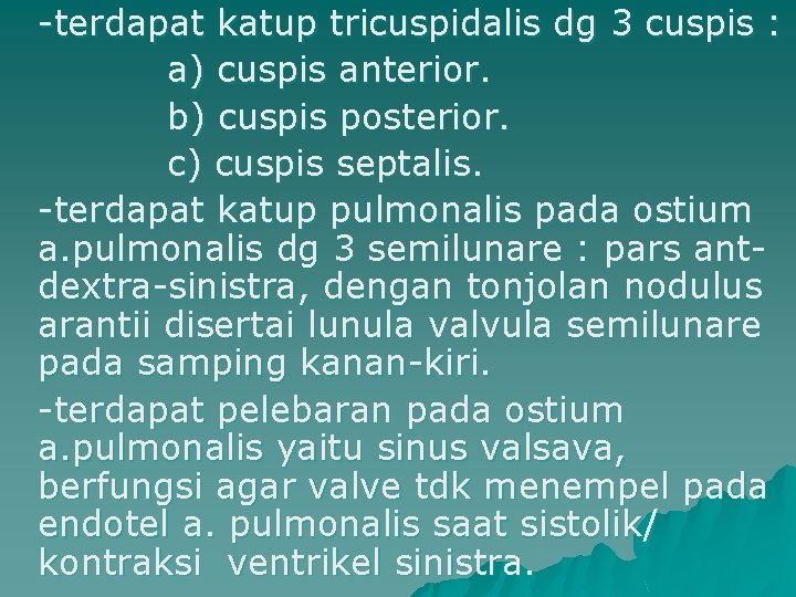 -terdapat katup tricuspidalis dg 3 cuspis : a) cuspis anterior. b) cuspis posterior. c)