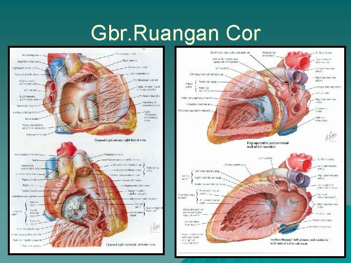 Gbr. Ruangan Cor 