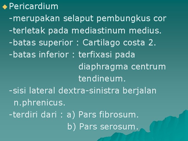 u Pericardium -merupakan selaput pembungkus cor -terletak pada mediastinum medius. -batas superior : Cartilago