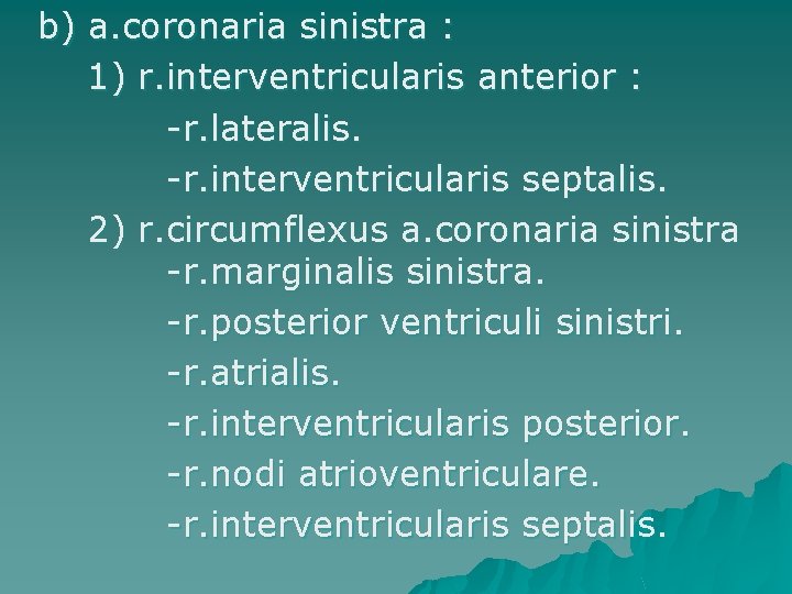 b) a. coronaria sinistra : 1) r. interventricularis anterior : -r. lateralis. -r. interventricularis