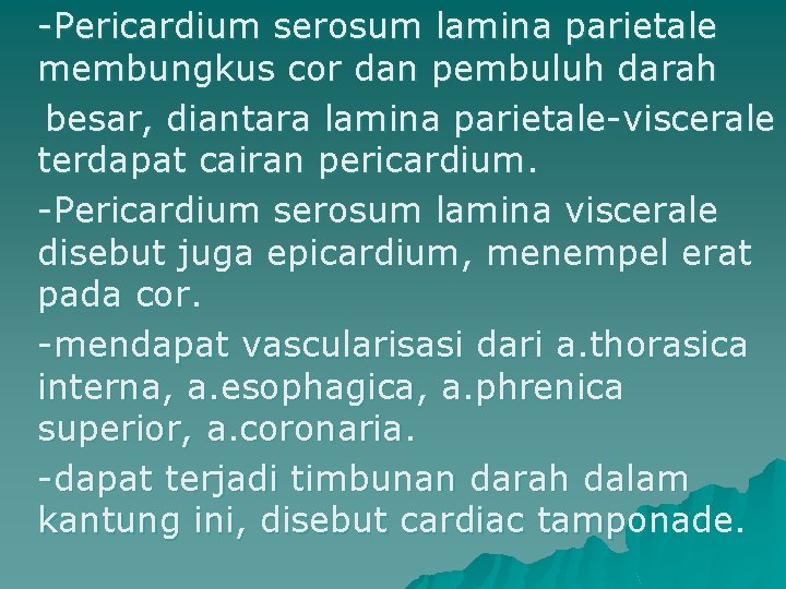 -Pericardium serosum lamina parietale membungkus cor dan pembuluh darah besar, diantara lamina parietale-viscerale terdapat