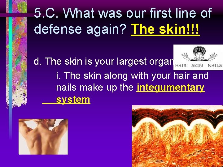 5. C. What was our first line of defense again? The skin!!! d. The