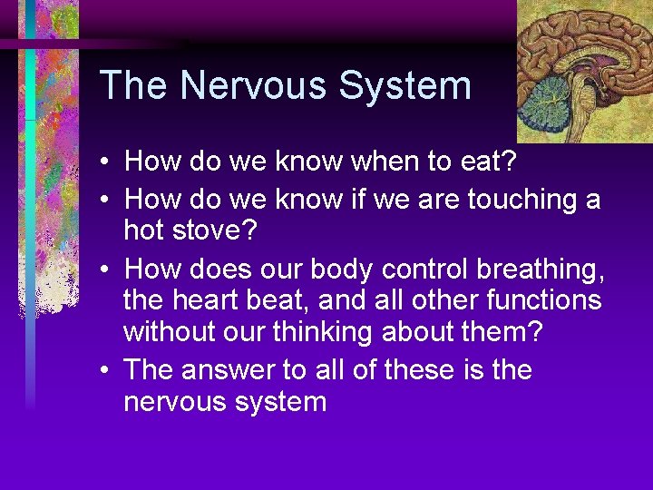 The Nervous System • How do we know when to eat? • How do