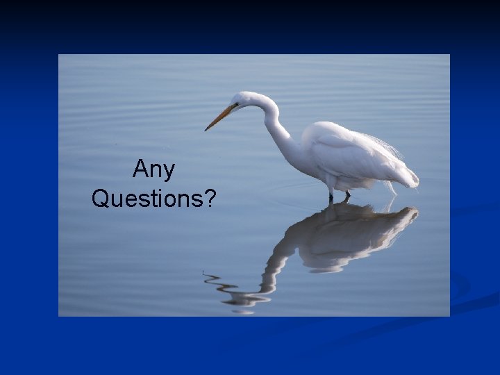 Any Questions? 