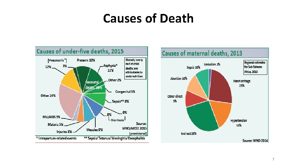 Causes of Death 7 