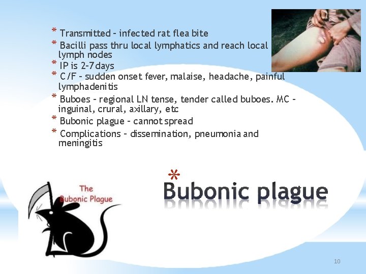 * Transmitted – infected rat flea bite * Bacilli pass thru local lymphatics and
