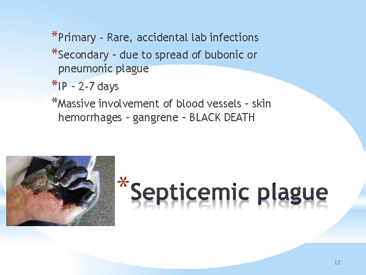 *Primary - Rare, accidental lab infections *Secondary – due to spread of bubonic or