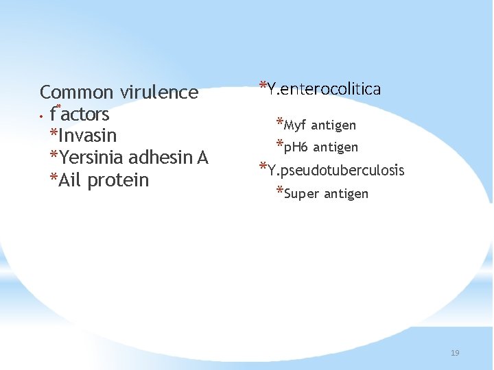 Common virulence * • f actors *Invasin *Yersinia adhesin A *Ail protein *Y. enterocolitica