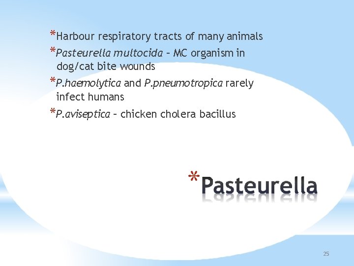 *Harbour respiratory tracts of many animals *Pasteurella multocida – MC organism in dog/cat bite