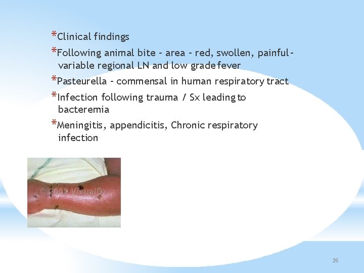 *Clinical findings *Following animal bite – area – red, swollen, painful – variable regional