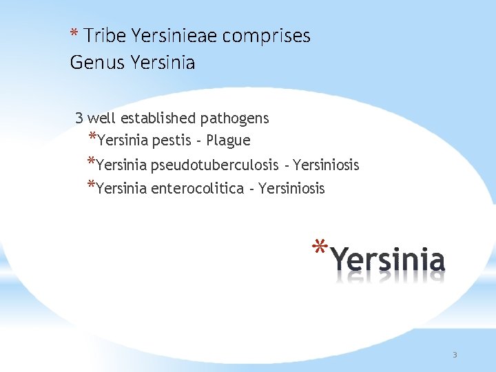 * Tribe Yersinieae comprises Genus Yersinia 3 well established pathogens *Yersinia pestis - Plague