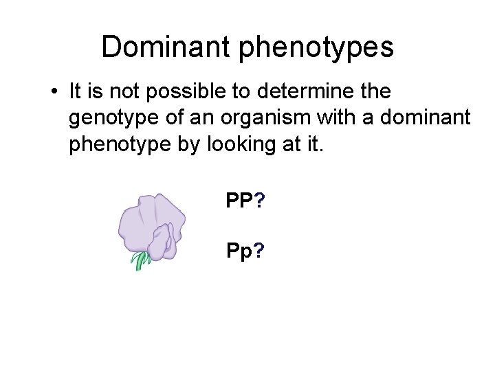 Dominant phenotypes • It is not possible to determine the genotype of an organism