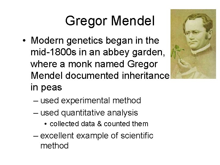 Gregor Mendel • Modern genetics began in the mid-1800 s in an abbey garden,