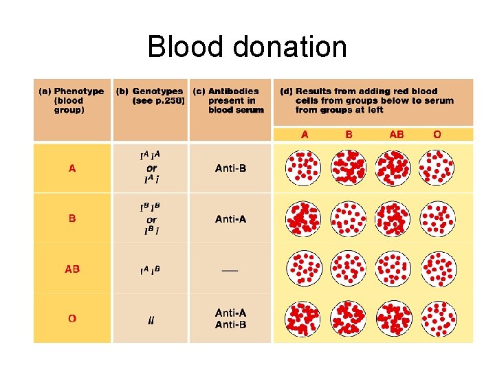 Blood donation 