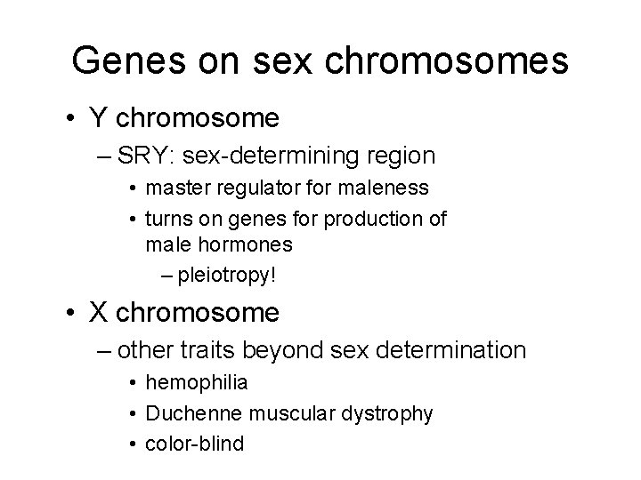 Genes on sex chromosomes • Y chromosome – SRY: sex-determining region • master regulator