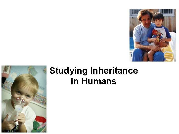 Studying Inheritance in Humans 