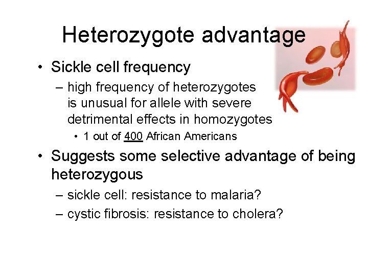 Heterozygote advantage • Sickle cell frequency – high frequency of heterozygotes is unusual for