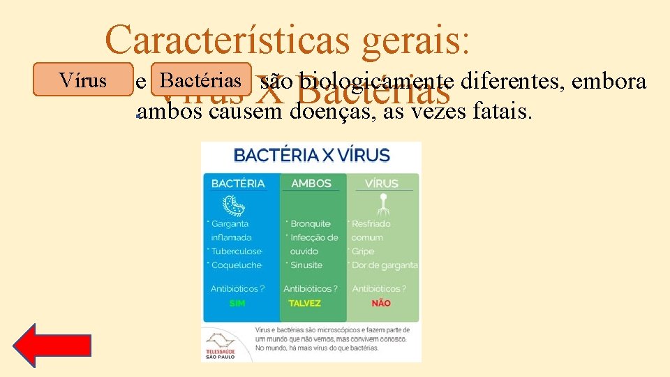 Características gerais: Vírus e Bactérias são biologicamente diferentes, embora Vírus X Bactérias ambos causem