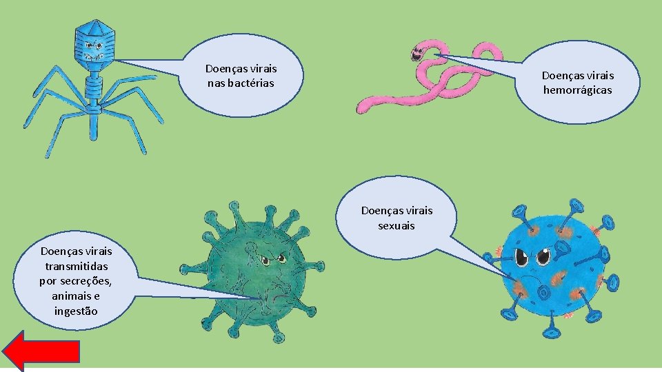 Doenças virais nas bactérias Doenças virais hemorrágicas Doenças virais sexuais Doenças virais transmitidas por